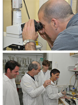 scientists cooperation in laboratory experiments